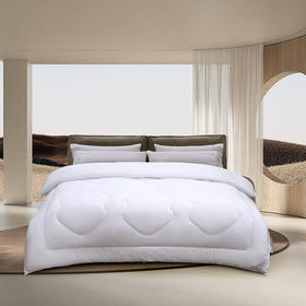 水星家纺 杜桑抗菌四季被200*230 填充物重1000g