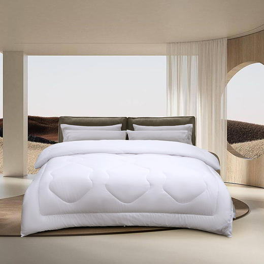 水星家纺 杜桑抗菌四季被200*230 填充物重1000g 商品图0