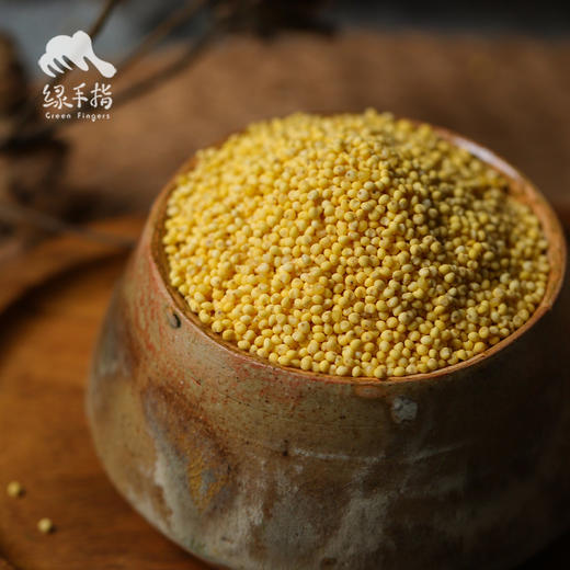 有机大黄米 | 合作生产*Organic  Rhubarb rice | Coproduction 商品图2