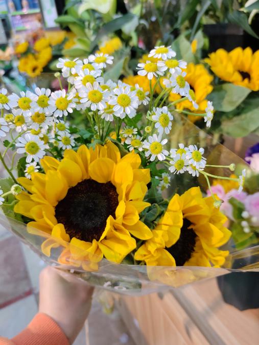 单枝向日葵一支 商品图2