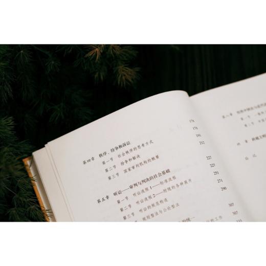 大学问 · 清代传统法秩序 (日)寺田浩明/著   雅理   田雷主编 商品图4