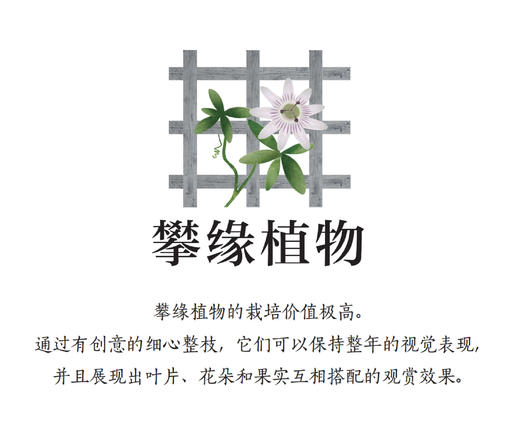 《英国皇家园艺学会园艺修剪手册》 商品图8