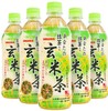 桑戈利亚一休屋玄米抹茶饮料500ml 商品缩略图1