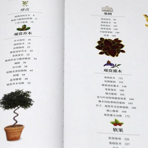《英国皇家园艺学会园艺修剪手册》 商品图11