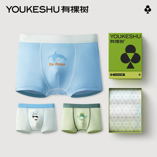 有棵树莫代尔男童内裤3条装E-C1001 商品图0