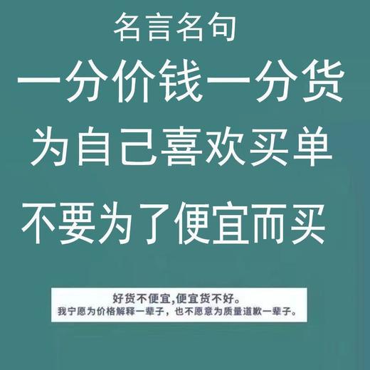 蝴蝶结蕾丝衬衫2023年新款洋气内搭打底衫减龄上衣AL 商品图9