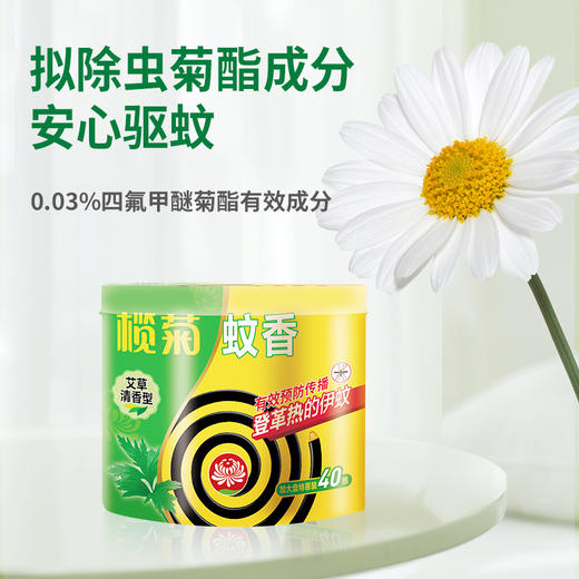 榄菊加大盘艾草型蚊香塑料筒装（40单圈） 商品图1