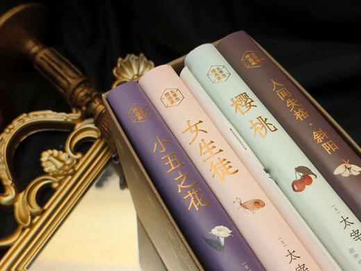 《太宰治精选集》4册，太宰治代表作结集，名家优质译本，赠文学手册+精美书签，赠艺术函套 商品图4