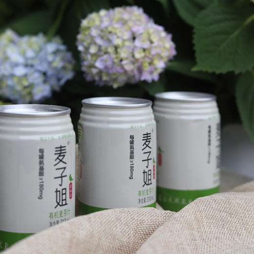 有机麦芽汁（基地直发-四通一达包邮）| 310ml/罐，来自福建南平，生产者：刁桂华【合作生产，公平贸易】 商品图3