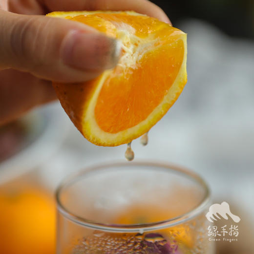 生态夏橙（偏酸） | 合作生产 * Ecological Summer Orange | Partner Production 商品图2