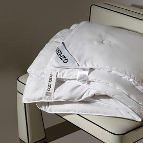 KCS-002 虎头压花蚕丝四季被