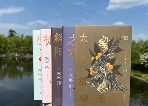《太宰治精选集》4册，太宰治代表作结集，名家优质译本，赠文学手册+精美书签，赠艺术函套 商品图0