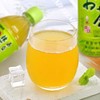 桑戈利亚一休屋抹茶味饮料500ml 商品缩略图1