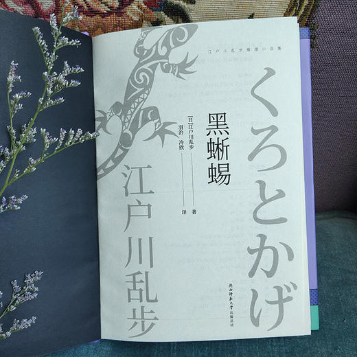 江户川乱步推理小说集 黑蜥蜴 精装 江户川乱步 著 小说 商品图3