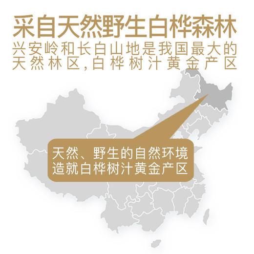 【嘉桦】浓缩白桦树汁50ML*8瓶*2礼盒装 商品图4