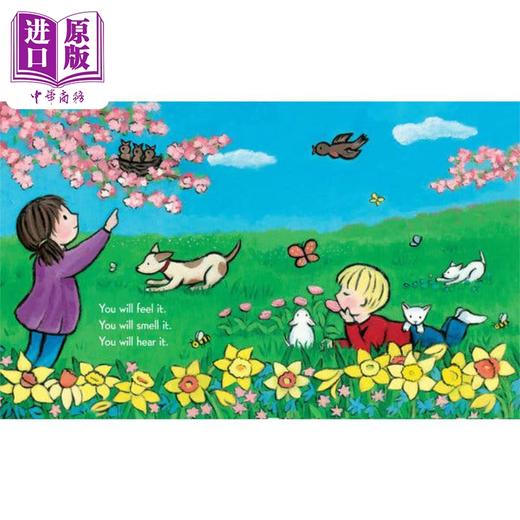 【中商原版】Kevin Henkes 四季系列儿童绘本4册套装 春天来临时Spring 夏日颂歌Summer 秋风中Fall 冬天到了Winter 英文原版 商品图2