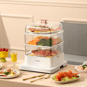 山水电蒸锅S-ZG1701