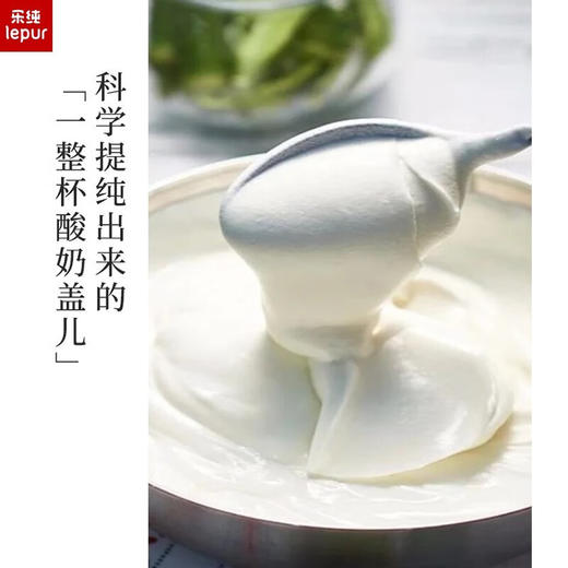乐纯希腊三倍酸奶135g 商品图3