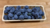 串枝蓝莓 Fresh Blueberries 200g/盒 商品缩略图2