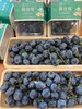 串枝蓝莓 Fresh Blueberries 200g/盒 商品缩略图1