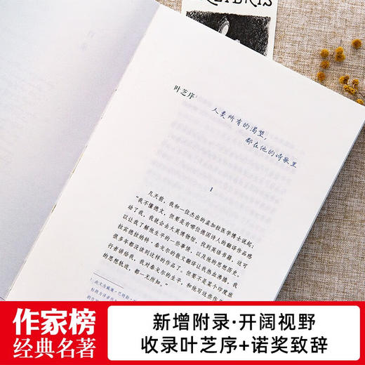 吉檀迦利 泰戈尔 著 文学 商品图1