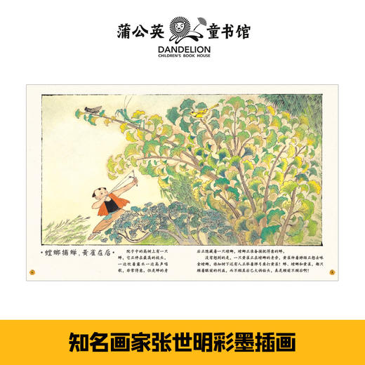 林海音奶奶讲寓言（全4册） 商品图2