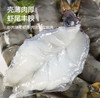 活冻黑虎虾（大号）2kg 62-80只 海鲜水产 过节送礼 商品缩略图3