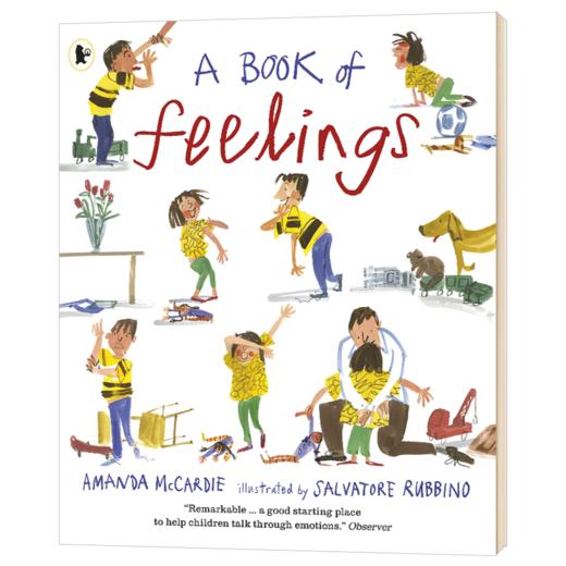 情绪绘本 英文原版 A Book of Feelings 儿童情感 心理健康 情绪表达宣泄 英文版进口原版英语书籍 商品图0