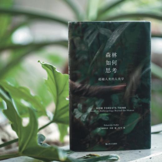 森林如何思考 超越人类的人类学 商品图2