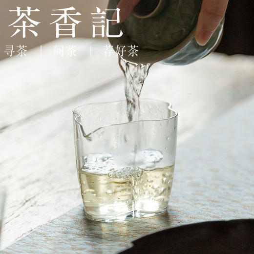 茶香记 如毫白牡丹017一斤装 福鼎磻溪大洋山高山荒野茶 毫香蜜韵 商品图4