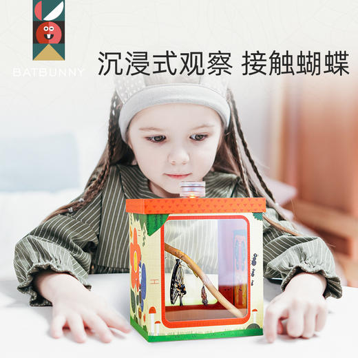 蝙蝠兔蝴蝶蛹孵化饲养儿童学生科普观察破蛹茧成蝶 商品图3