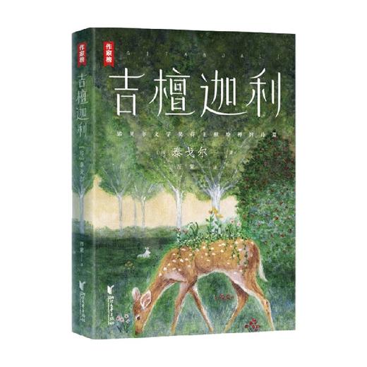 吉檀迦利 泰戈尔 著 文学 商品图0