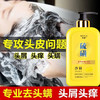 硫磺洗发水去屑止痒控油去油蓬松持久留香洗发液男女生洗发露 商品缩略图1
