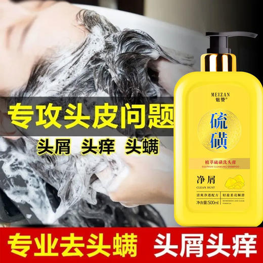 硫磺洗发水去屑止痒控油去油蓬松持久留香洗发液男女生洗发露 商品图1