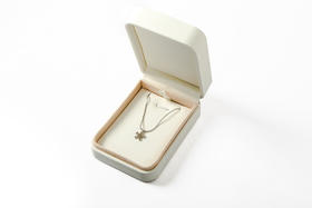 Self Who轻奢小众设计感925银项链女2023新款爆款高级锁骨链颈链