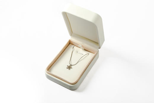 Self Who轻奢小众设计感925银项链女2023新款爆款高级锁骨链颈链 商品图0