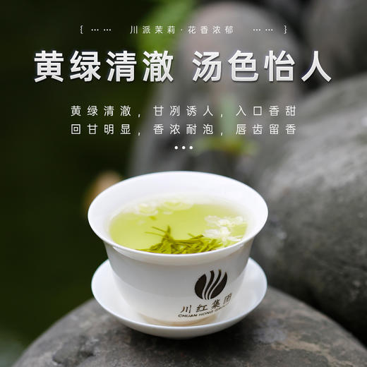 川红茶业 茉莉花茶散装浓香型绿茶叶浓香耐泡花毛峰250g 商品图2