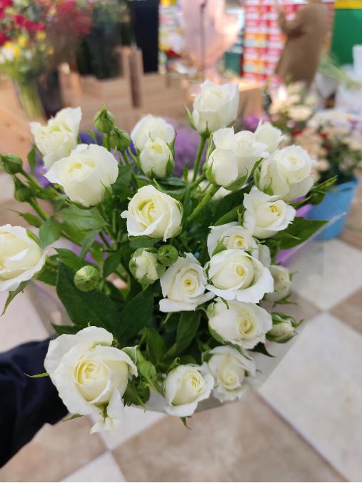 多头泡泡玫瑰一束（拼团） 商品图1