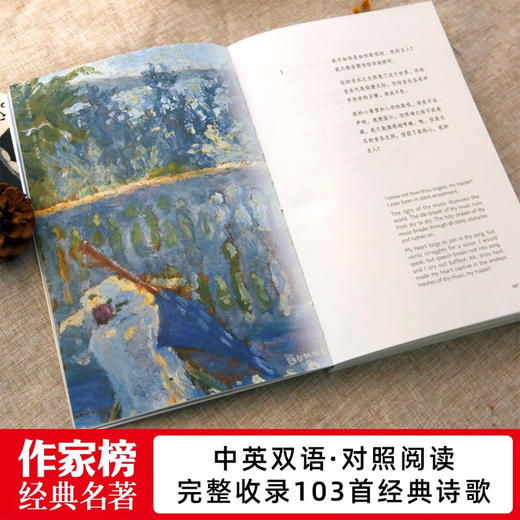 吉檀迦利 泰戈尔 著 文学 商品图3