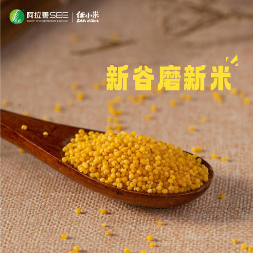 【5斤糙小米】2023年任小米新谷子新小米糙小米 商品图0