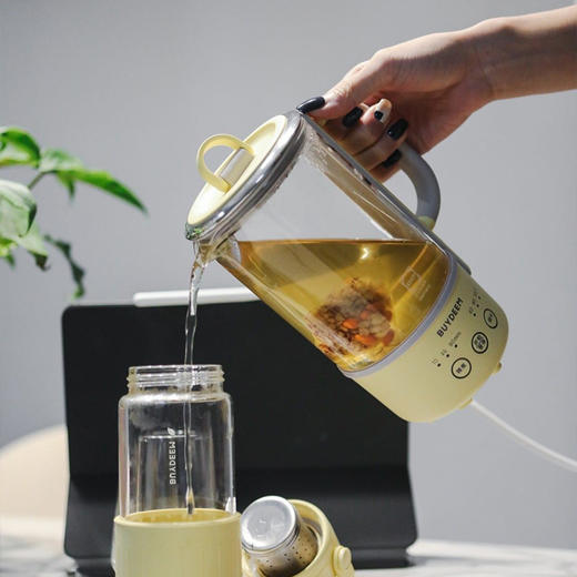 北鼎（Buydeem） 养生壶电水壶迷你家用煮茶器煮茶壶 便携小型一体式保温养生杯K31F 商品图1