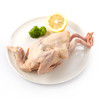 鸽子肉  2只（今日预定，明日送达，预定商品无品质问题，不退货不换货不退款） 商品缩略图0