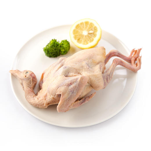 鸽子肉  2只（今日预定，明日送达，预定商品无品质问题，不退货不换货不退款） 商品图0