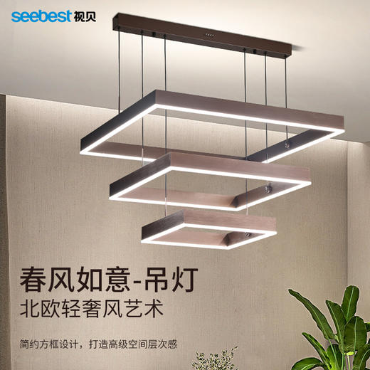 春风如意-吊灯 商品图0