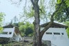 【雅安碧峰峡-368号院】2房/4房院子，山中观景，碧峰峡景区、儿童游玩滑滑梯房、采茶、露营BMST 商品缩略图1