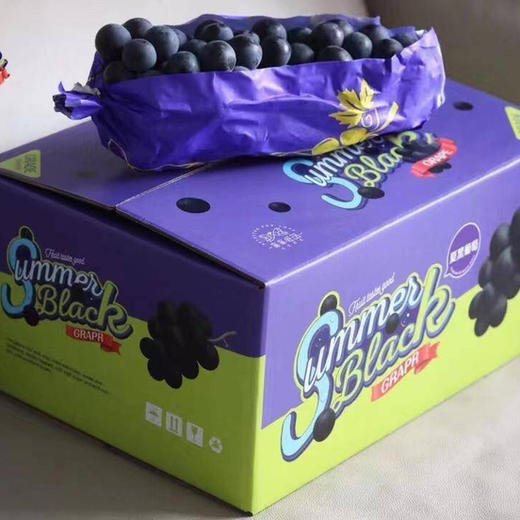炫黑夏黑葡萄 Q弹爆汁 顺丰包邮 现摘现发 商品图1