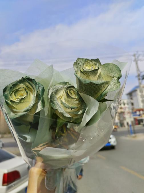 苏格兰古典绿玫瑰3支（拼团） 商品图0