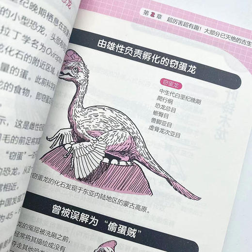 你不可不知的古生物奥秘 古生物 地球历史 多样性 恐龙时代 古脊椎动物 生态 演化历程 问答形式 复原图 科普读物 商品图3