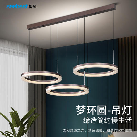 梦环圆-1头/3头-吊灯（停产无库存） 商品图0