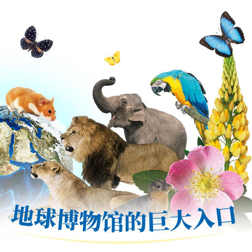 DK博物大百科英文版 双语直接点读 【入口：扉页】 商品图3